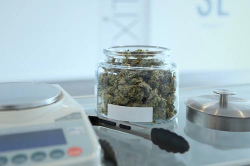weed-scales